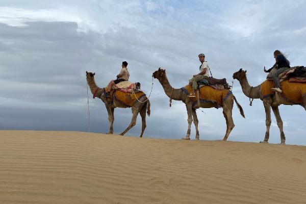 camel-safari-in-jaisalmer-1704788632.jpg
